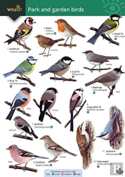 Bertrand.pt - Park And Garden Birds