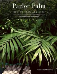 Parlor Palm