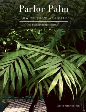Parlor Palm