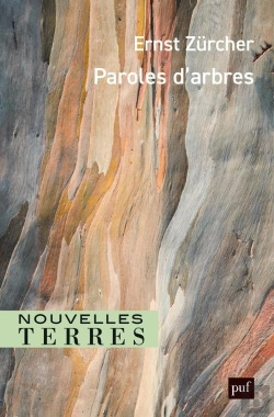 Bertrand.pt - Paroles D'Arbres