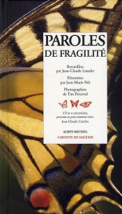 Paroles De Fragilite
