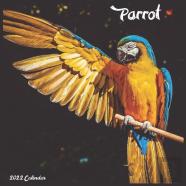 Parrot 2022 Calendar