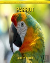 Parrot
