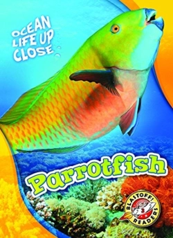 Bertrand.pt - Parrotfish