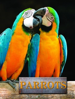 Bertrand.pt - Parrots