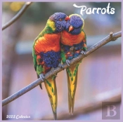 Parrots Calendar 2022