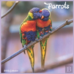 Bertrand.pt - Parrots Calendar 2022