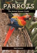 Parrots