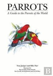 Parrots