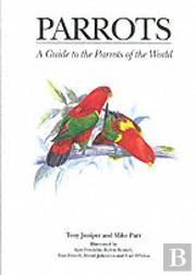Parrots