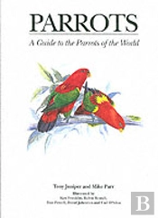 Parrots