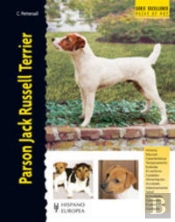 Parson Jack Russell Terrier