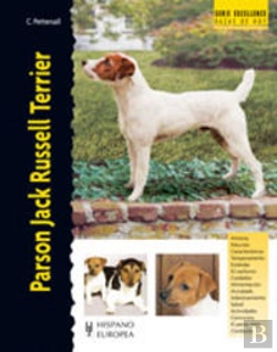 Bertrand.pt - Parson Jack Russell Terrier
