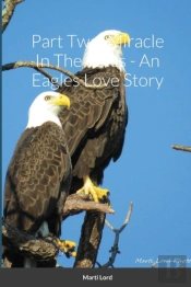 Part Two: Miracle In The Pines - An Eagl
