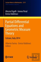 Partial Differential Equations And Geometric Measure Theory