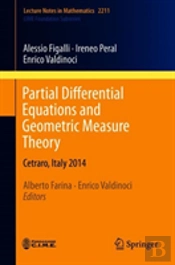 Partial Differential Equations And Geometric Measure Theory