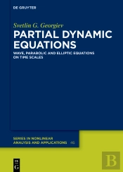 Partial Dynamic Equations