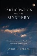 Participation And The Mystery
