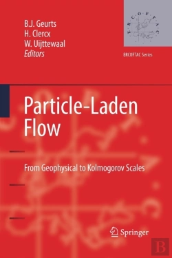 Bertrand.pt - Particle-Laden Flow