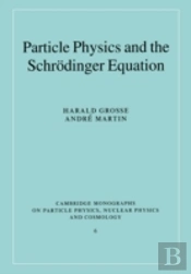 Particle Physics And The Schrodinger Equation