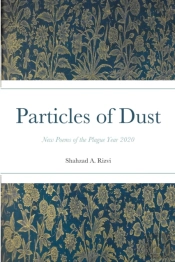 Particles Of Dust