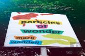 Particles Of Wonder