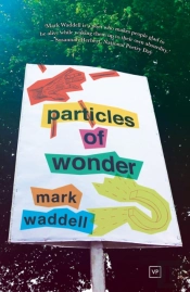 Particles Of Wonder