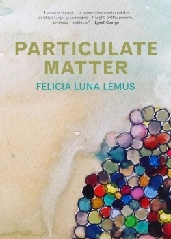 Bertrand.pt - Particulate Matter