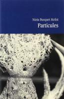 Partícules