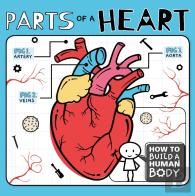 Parts Of A Heart