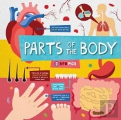 Parts Of The Body