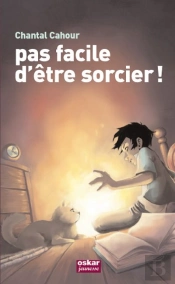 Pas Facile D'Être Sorcier !