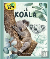 Pas Si Bête : Le Koala