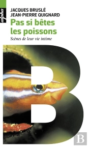 Pas Si Bêtes Les Poissons ; Scènes De Leur Vie Intime