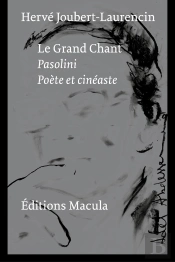 Pasolini, Le Grand Chant : Poète Et Cinéaste