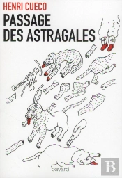 Passage Des Astragales