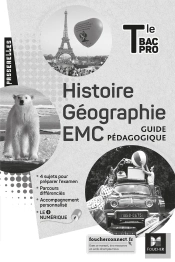 Passerelles : Histoire-Géographie-Emc ; Terminale Bac Pro ; Guide Pédagogique (Édition 2021)