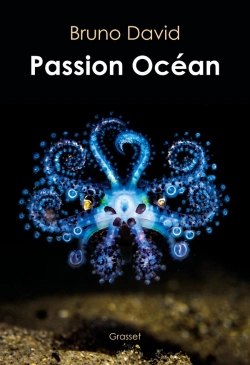 Bertrand.pt - Passion Océan