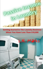 Passive Income In Laundry