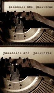 Passwords And Passcodes Creative Blank Journal