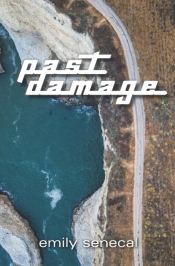 Past Damage