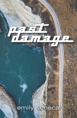 Bertrand.pt - Past Damage