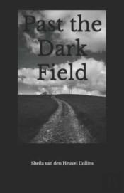 Past The Dark Field