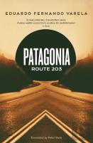 Patagonia Route 203
