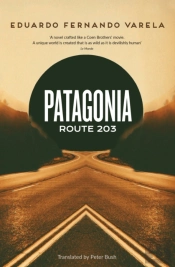 Patagonia Route 203