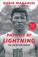 Path Lit By Lightning