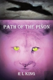 Path Of The Pi On