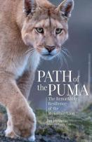 Path Of The Puma
