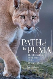 Path Of The Puma
