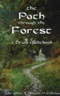 Bertrand.pt - Path Through The Forest